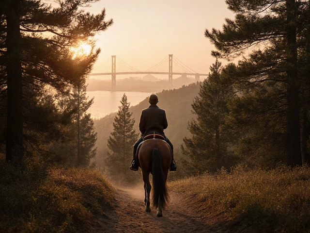 Top Equestrian Parks Near Istanbul - Best Trails for Horseback Riding