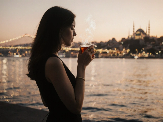 Ebony Escort Istanbul: What to Expect from Elegance and Charm in the City