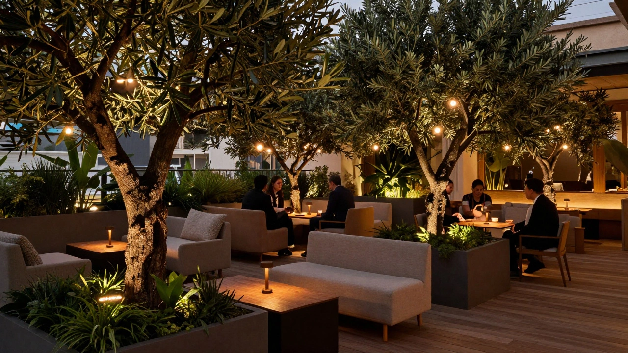 Elegant outdoor lounge seating with olive trees under string lights at night.