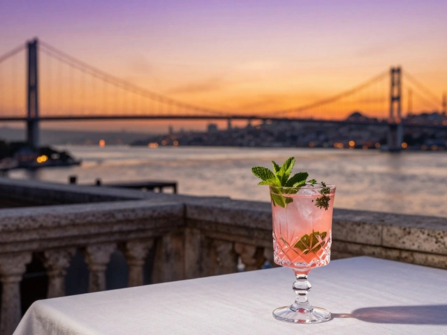 The Best Rooftop Bars in Istanbul for a Chic Night Out